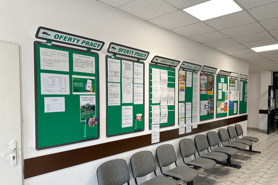 Kierowcy, księgowi i pracownicy fizyczni poszukiwani. Są nowe oferty pracy